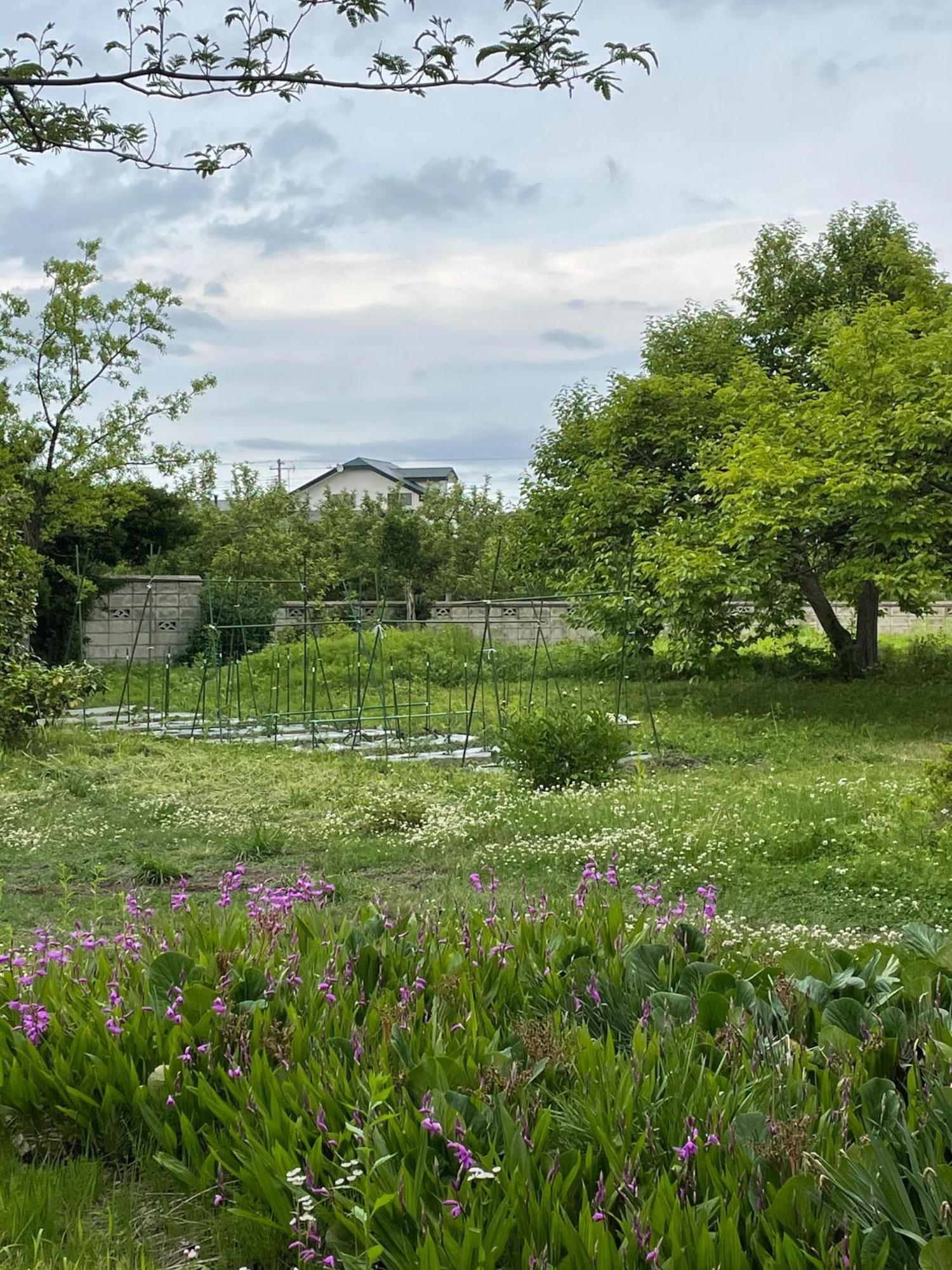 Kuroishi - House - Vacation Stay 87006 Εξωτερικό φωτογραφία